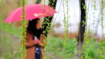 Vesti proaste de la meteorologi! Cum va fi vremea de Florii