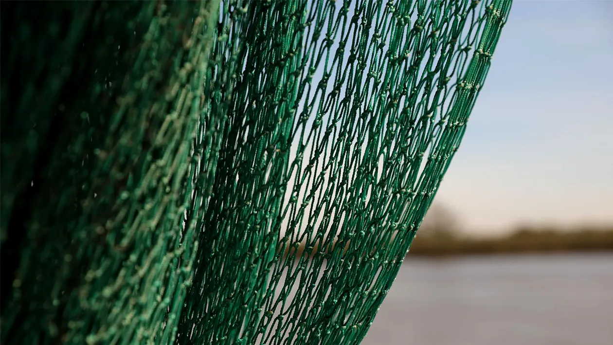 (P) Rolul plasei de umbrire în grădinărit: Protecție, eficiență și economisire