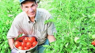 Cum iti poti gasi un job in alta tara