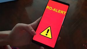 Greșeala uluitoare făcută de Ro-Alert în mesajul trimis tuturor românilor: "Starea de alertă a fost..."