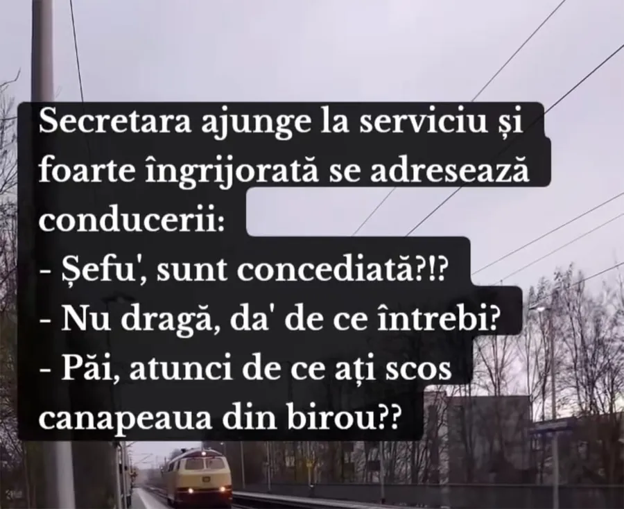 secretara si seful banc