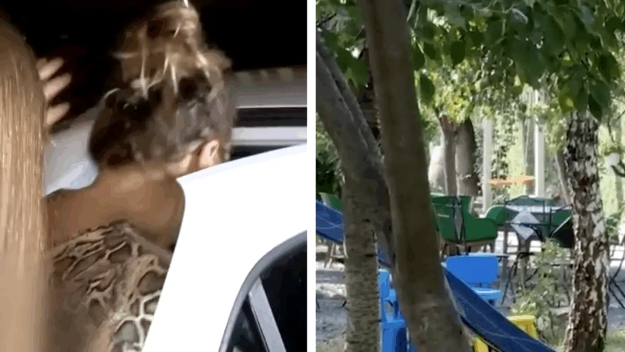 Tragedie la o creșă privată din Timișoara! Un băiețel de aproape 2 ani a murit înecat într-un iaz