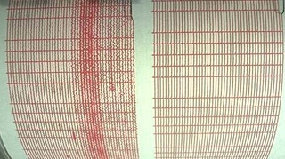 VIDEO Un cutremur de 3,2 grade s-a produs in Vrancea
