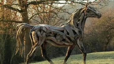 HOROSCOP 2014: Vezi ce prevesteste anul CALULUI DE LEMN si cum iti va influenta viitorul