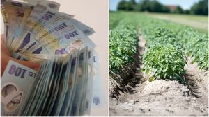 Vești importante pentru o categorie de români! Se oferă un ajutor de la stat de 1000 de lei. Care sunt condițiile