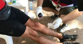 Galerie foto - poza 3