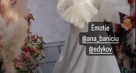 Galerie foto - poza 4