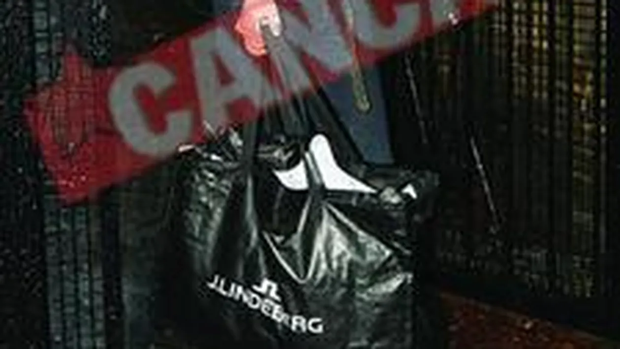 Amy a intrat taras in casa