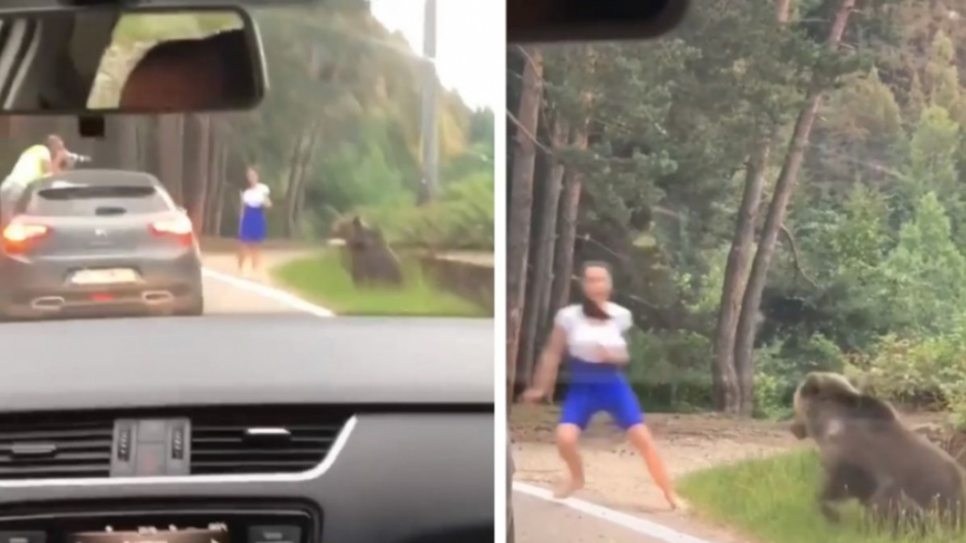 Imagini înfiorătoare! O „bombă sexy” a fost la un pas să fie sfâșiată de urs, pentru o poză. Alți turiști râdeau în timp ce o filmau…
