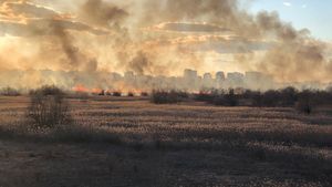 Incendiu devastator în Delta Văcărești pe o suprafață de 20.000 de metri pătrați VIDEO