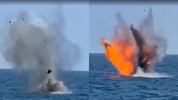 Două drone tip Gerbera, distruse de Armata Română! Imagini video cu momentul detonării în zona Neptun Deep