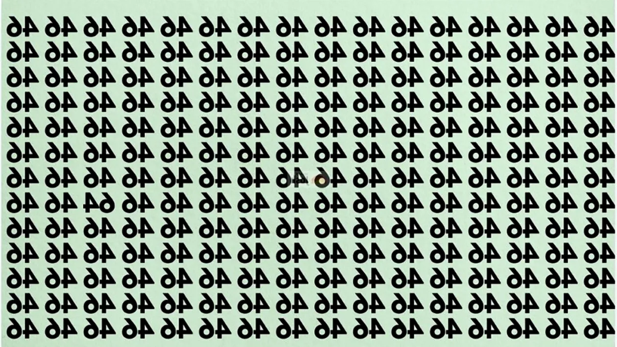 Test de logică | Găsiți numărul 64 în această imagine. Geniile reușesc în 7 secunde