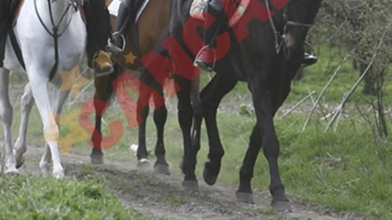 Simona Sensual, colega la calarie cu Maria Basescu