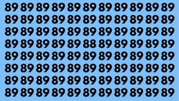 Test de perspicacitate | Găsiți numărul 88 în cel mult 5 secunde!