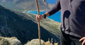 Galerie foto - poza 2