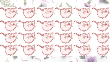 Test de logică | Găsiți singura pisică diferită de toate celelalte!