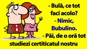 BANC | Bulă, Bubulina și certificatul de căsătorie