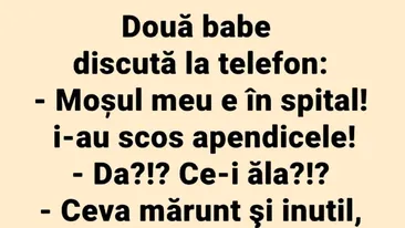 BANCUL ZILEI | Discuție la telefon între două pensionare