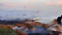 Incendiu puternic pe o suprafață de patru hectare în Ialomița. Pompierii încearcă să lichideze flăcările de aproape 48 de ore