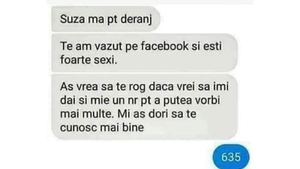 BANCUL ZILEI | 635