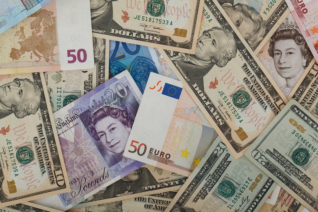 Câți lei va valora un euro în 2023 (Sursă: Pixabay)