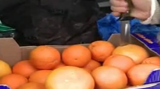VIDEO Becali e mai tare decat Bear Grylls! Supravietuieste lejer in geruri si zapada - Uite-l cum a dormit pe o blana de oaie in aer liber si a mancat branza cu portocale
