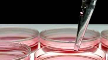 Cercetatorii avertizeaza! NDM-1, o enzima periculoasa care ameninta lumea!