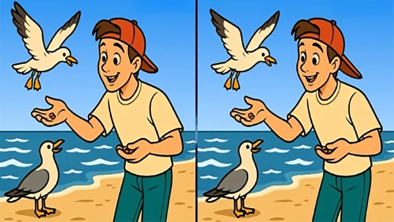 Test de logică | Găsiți 3 diferențe între aceste două fotografii! Recordul este de 29 de secunde