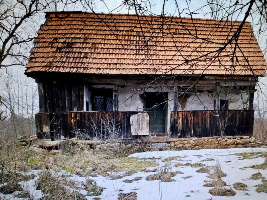 Satul părăsit din Apuseni care atrage români ca un magnet: „Copiii cresc în mijlocul naturii”