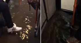 Galerie foto - poza 3