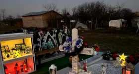 Galerie foto - poza 3