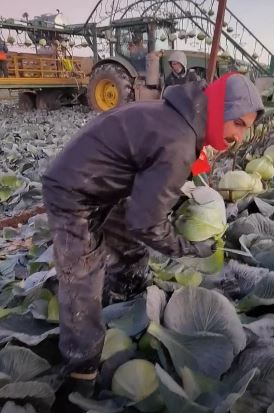 Român plecat la muncă în Anglia, mesaj dur pentru prieteni: “Aici lucrez prin gheață, frig, zăpadă… Stați cu mine aici ca să vă dau bere, de Crăciun, când mă întorc acasă?!”