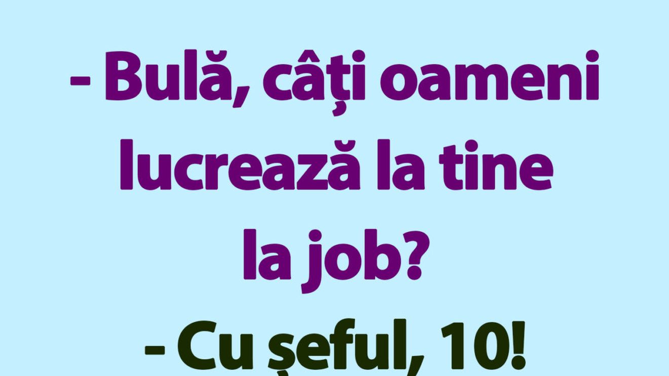 BANC | "Bulă, câți oameni lucrează la tine la job?"