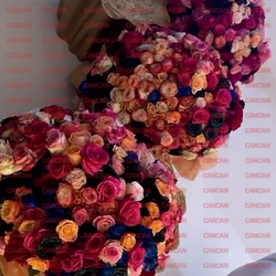 Imagine Galerie #2