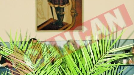 Stefan cel Mare, incadrat de palmieri