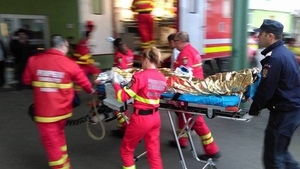 O femeie din Caraş-Severin, mutilată de câinele familiei! Animalul a lăsat-o fără mâini