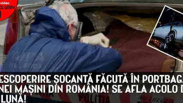 Un miros de cadavru a atras atentia asupra unui autoturism din Capitala.