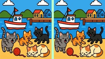 TEST IQ | Aveți la dispoziție 23 de secunde pentru a identifica toate cele 3 diferențe dintre pisicile din imagine
