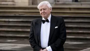 Ce dietă are David Attenborough, legendarul jurnalist britanic. Tocmai a împlinit 100 de ani