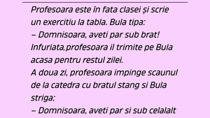 BANC | Bulă și profesoara neîngrijită