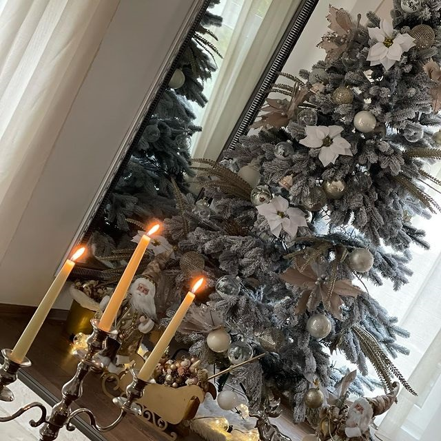 Carmen de la Sălciua a împodobit bradul încă de la începutul lunii (Foto: Instagram.com)