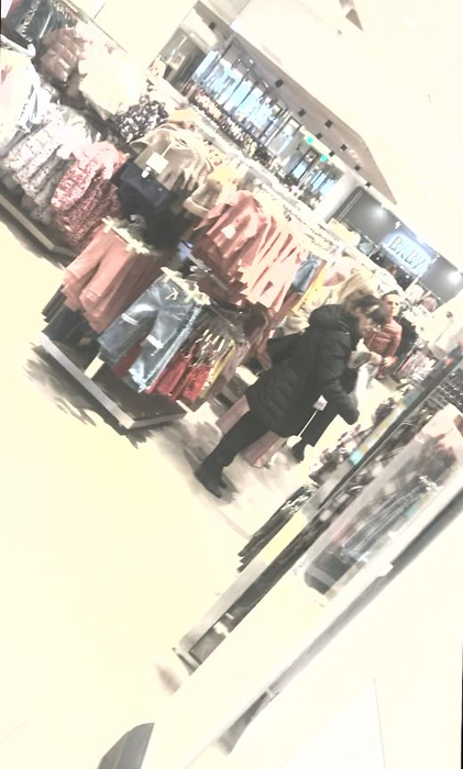 Elena Udrea a ieșit cu mama ei la cumpărături într-un mall din București