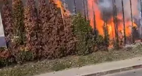 Galerie foto - poza 2