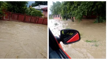 Codul galben face ravagii! În Dâmbovița, apele au inundat casele localnicilor. VIDEO