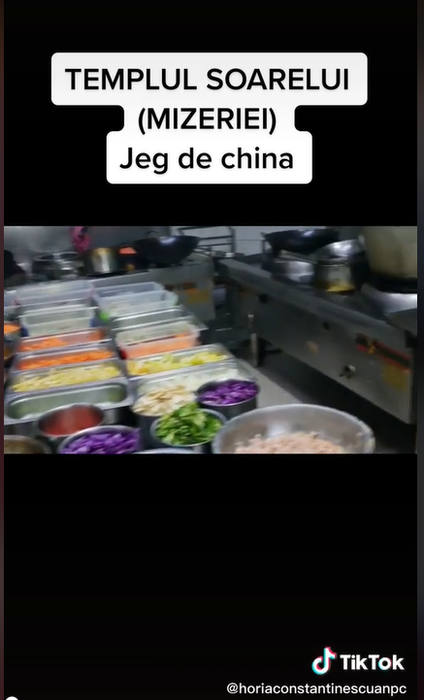 Șeful ANPC a sesizat o serie de nereguli în cadrul restaurantului „Templul Soarelui” din București. Sursă: captură video