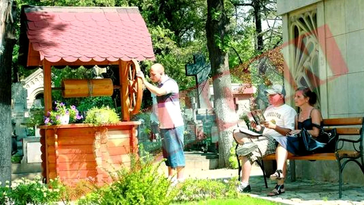 Bine ati venit in parculetul din cimitirul Bellu!