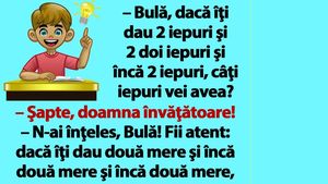 BANC | "Bulă, dacă îţi dau 2 iepuri şi 2 doi iepuri şi încă 2 iepuri, câţi iepuri vei avea?"