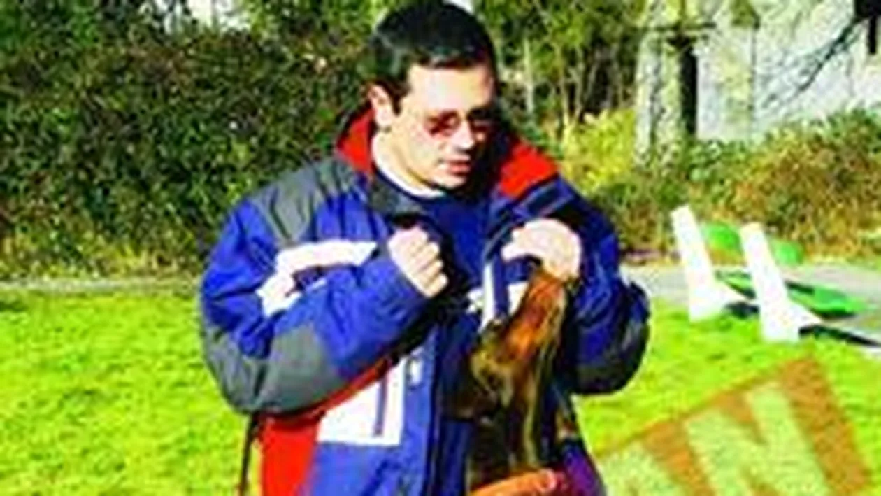 Catelusa care danseaza pe ritmuri pop-rock