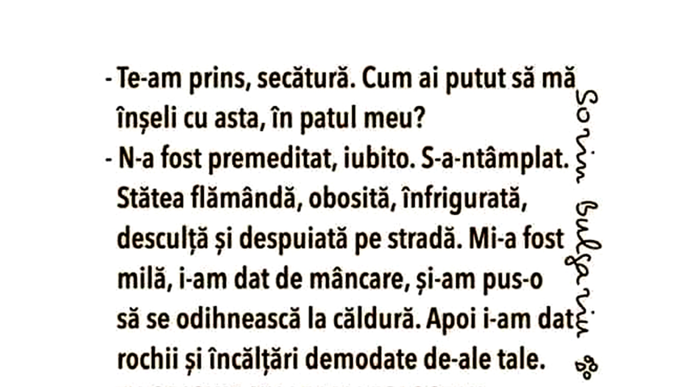 BANC | "Te-am prins, secătură! Cum ai putut să mă înșeli cu asta, în patul meu?