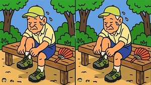 Test de inteligență | 3 diferențe în 27 de secunde: Le puteți identifica pe toate?